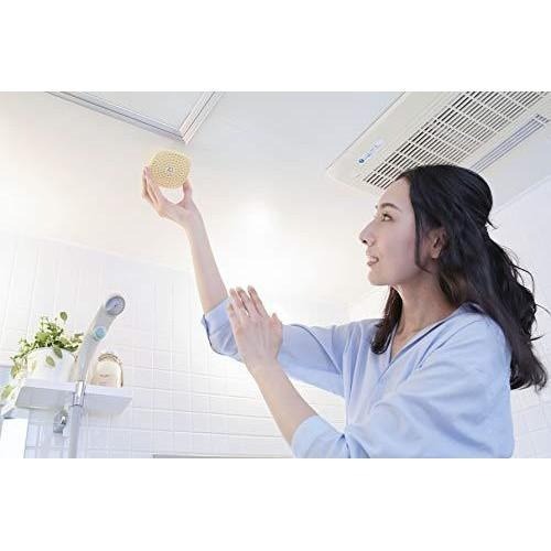 現貨★JILL日本代購★日本製 BIO 微生物浴室除霉除菌 除臭盒 浴室 除霉 長效防霉 6個月 日本代購 大掃除-細節圖5