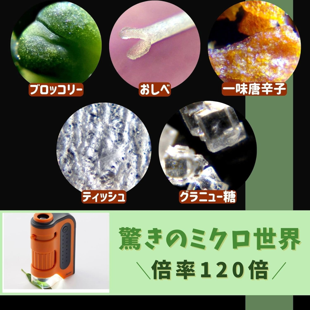 現貨★日本藤井 迷你顯微鏡 攜帶型顯微鏡 RXT1143 Raymay 60~120倍 聖誕禮物-細節圖5