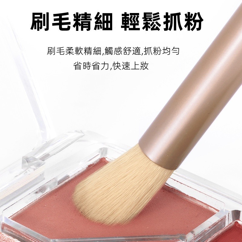 三迪逸品 元氣顏控系 - 初學者化妝刷套組 (8隻入) SD-2049-細節圖4