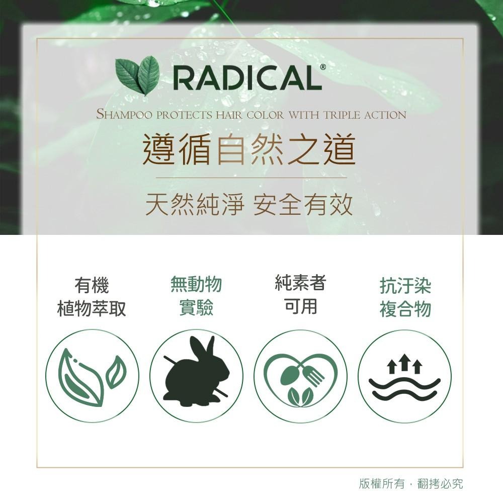 RADICAL 波蘭植萃 - 馬尾草護色亮澤洗髮露 -細節圖4