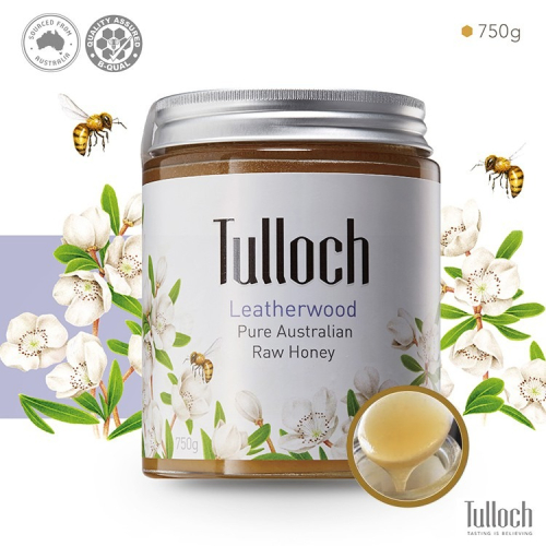 【Tulloch】澳洲生蜂蜜-革木樹風味(750g/罐)(塔斯馬尼亞島)