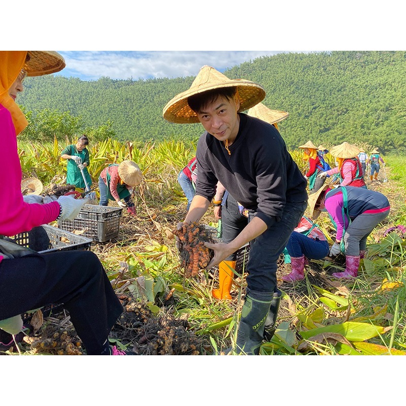 【淺草堂】有機紅薑黃粉 100g-細節圖6