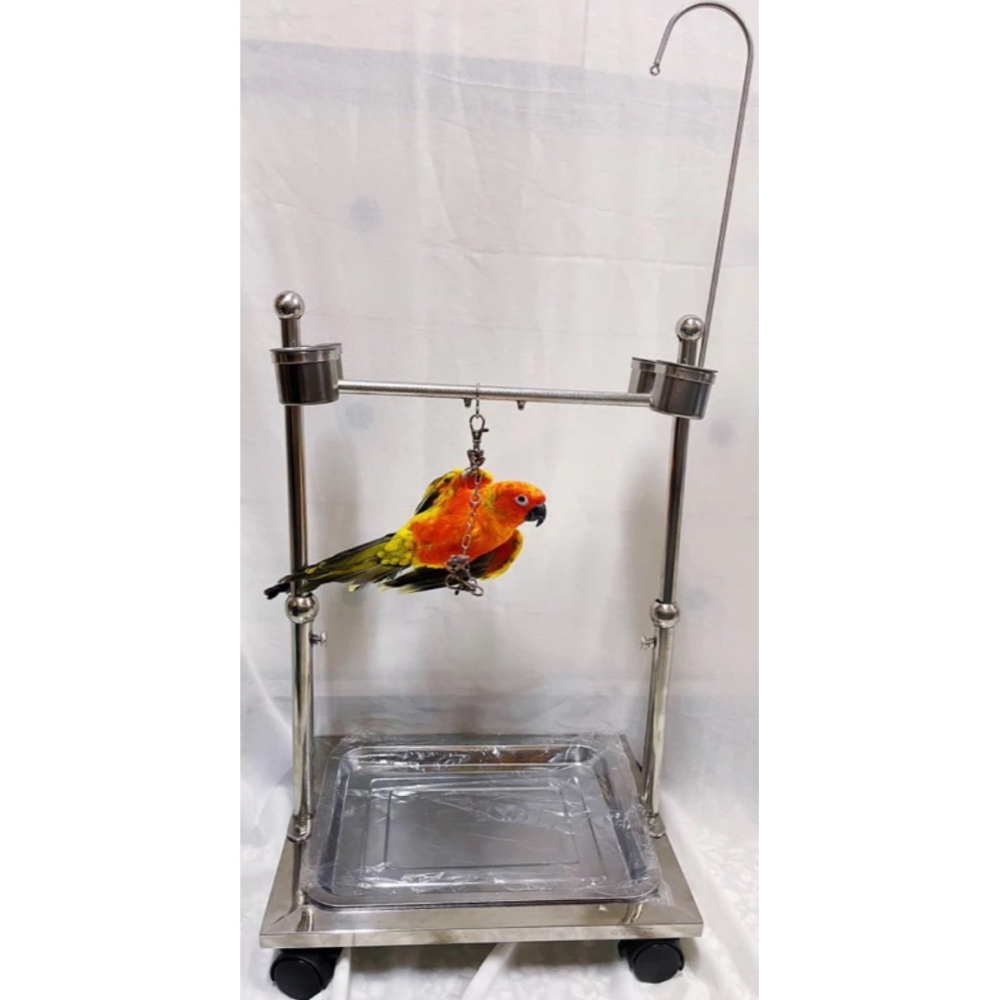 [沐沐屋]中小型鸚鵡站架302不鏽鋼升降站台鳥寶鸚鵡用品金太陽月輪和尚賈丁小鸚虎皮小太陽玄鳳鳥互動鳥站架-細節圖8