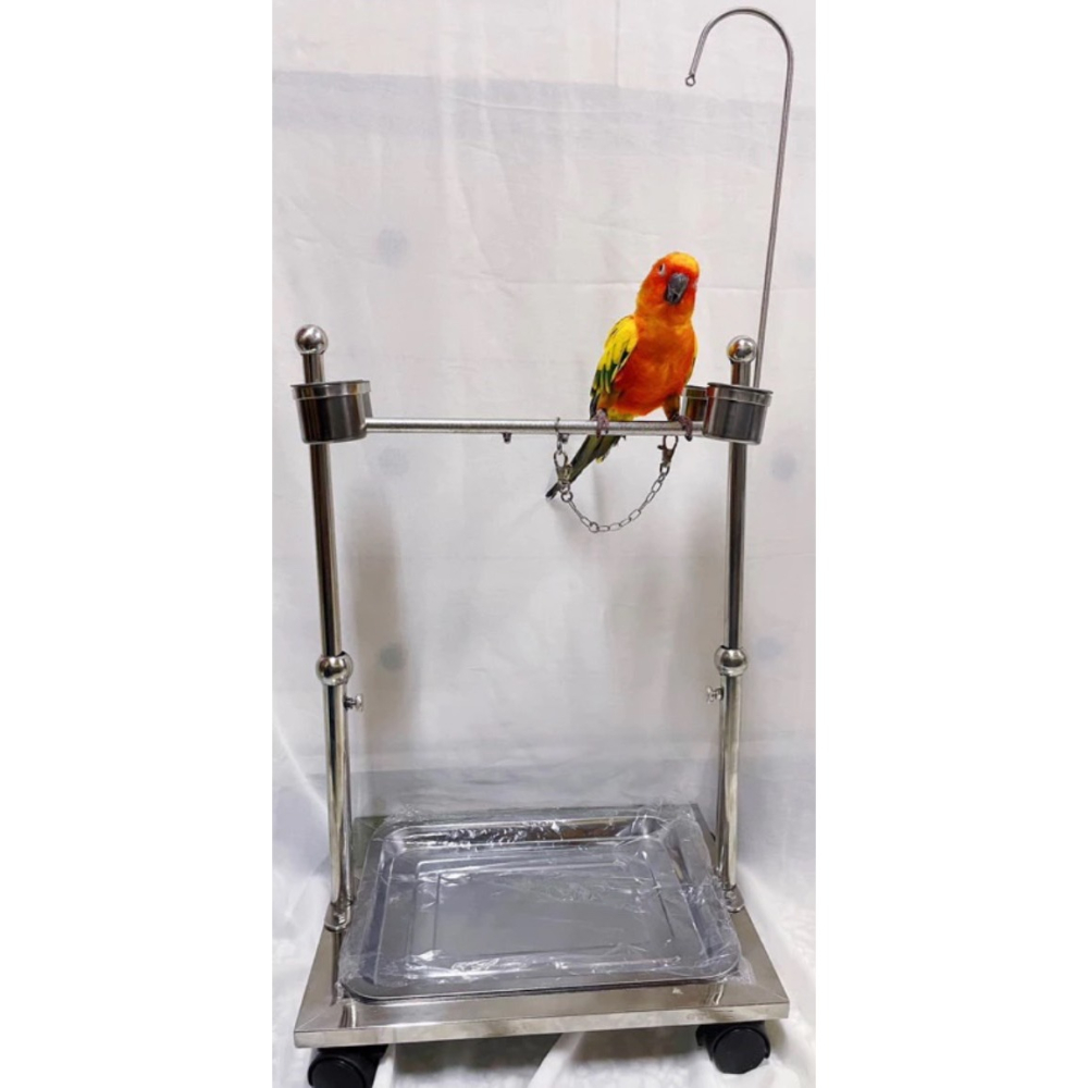 [沐沐屋]中小型鸚鵡站架302不鏽鋼升降站台鳥寶鸚鵡用品金太陽月輪和尚賈丁小鸚虎皮小太陽玄鳳鳥互動鳥站架-細節圖9