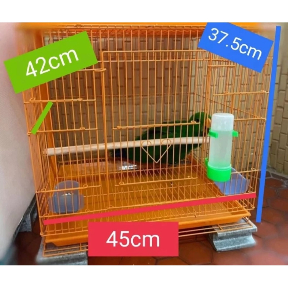 [沐沐屋]一尺半烤漆鳥籠 摺疊鳥籠 烤漆材質 組裝容易 美觀耐用 鸚鵡鳥籠 蜜袋鼯籠 松鼠籠 觀賞鳥用 中小型鸚鵡籠-細節圖7