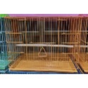 [沐沐屋]一尺半烤漆鳥籠 摺疊鳥籠 烤漆材質 組裝容易 美觀耐用 鸚鵡鳥籠 蜜袋鼯籠 松鼠籠 觀賞鳥用 中小型鸚鵡籠-規格圖2