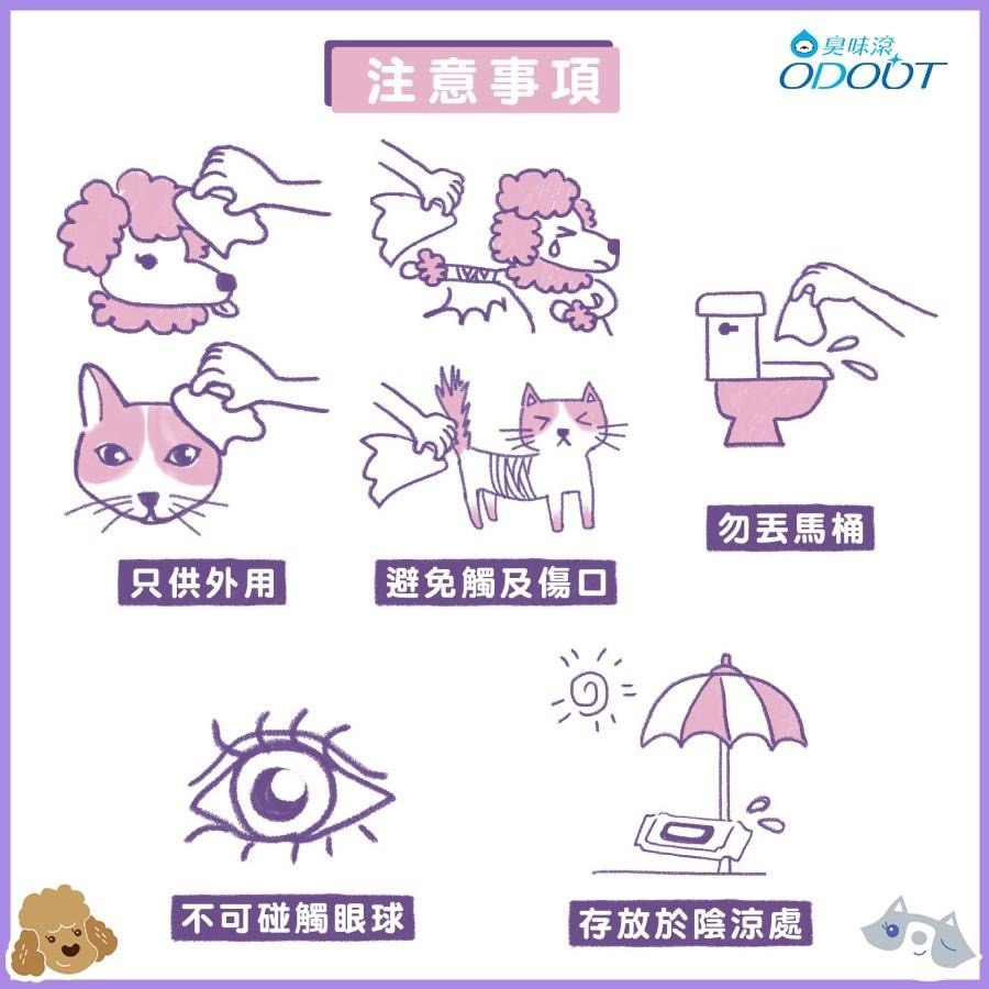 臭味滾 寵物專用抑菌濕紙巾 一包50抽 貓用 全齡貓 寵物用品 貓咪用品 主子專用 毛孩-細節圖4