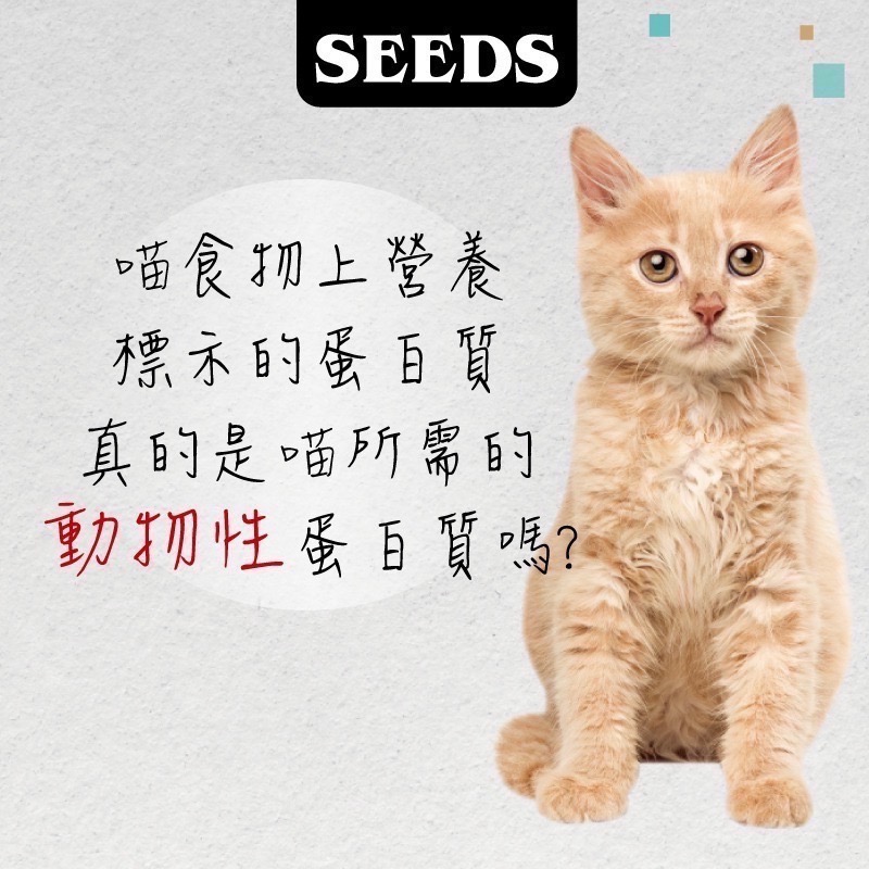 SEEDS MamaMia 貓餐罐 85G 170G貓罐頭 雞肉罐 寵物罐頭 全齡貓 軟凍罐-細節圖5