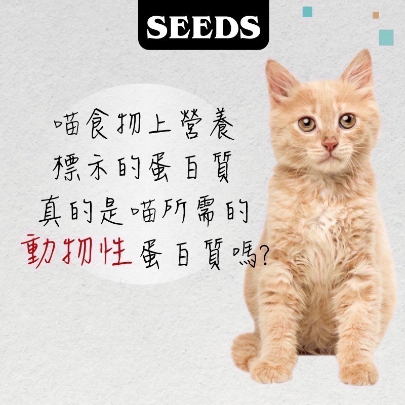 SEEDS MamaMia 貓餐罐 85G 170G貓罐頭 雞肉罐 寵物罐頭 全齡貓 軟凍罐-細節圖5