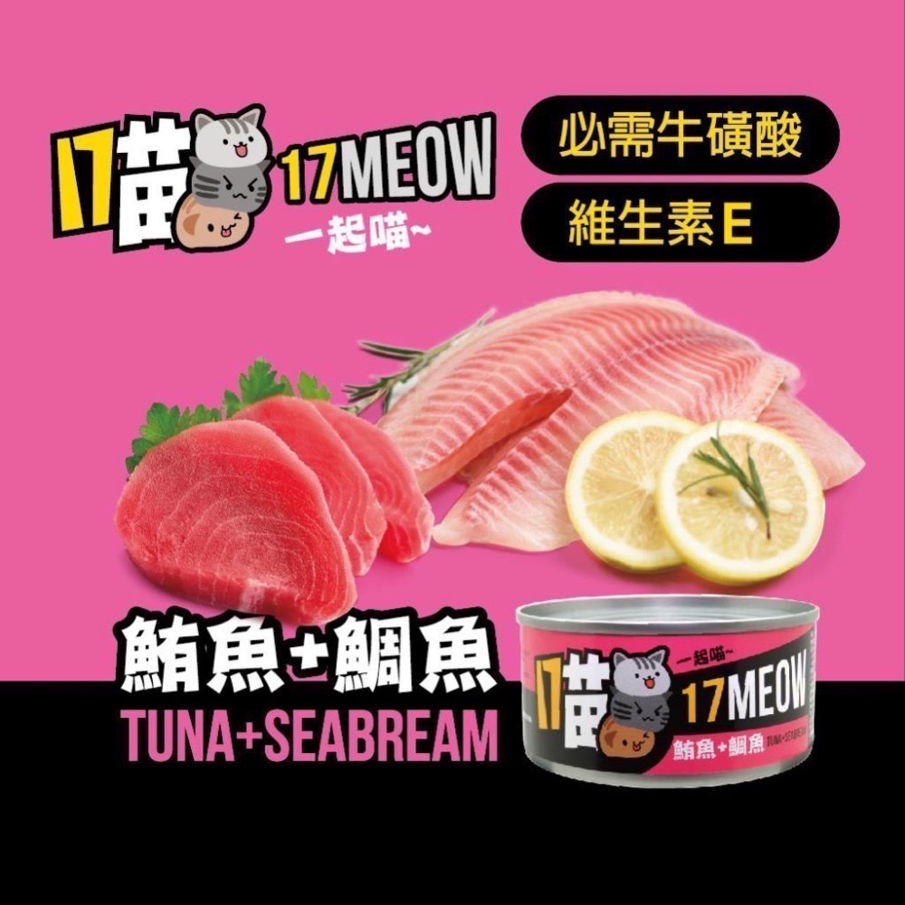17喵貓罐 170g 貓咪罐頭 貓罐頭 寵物罐頭 貓湯罐 寵物食品 副食罐 補水罐-規格圖2