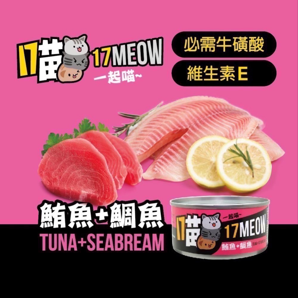 17喵貓罐 170g 貓咪罐頭 貓罐頭 寵物罐頭 貓湯罐 寵物食品 副食罐 補水罐-規格圖2
