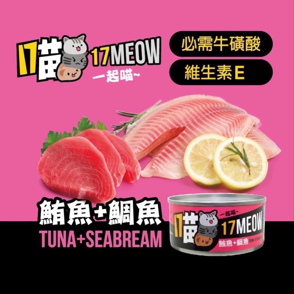 17喵貓罐 170g 貓咪罐頭 貓罐頭 寵物罐頭 貓湯罐 寵物食品 副食罐 補水罐-規格圖2