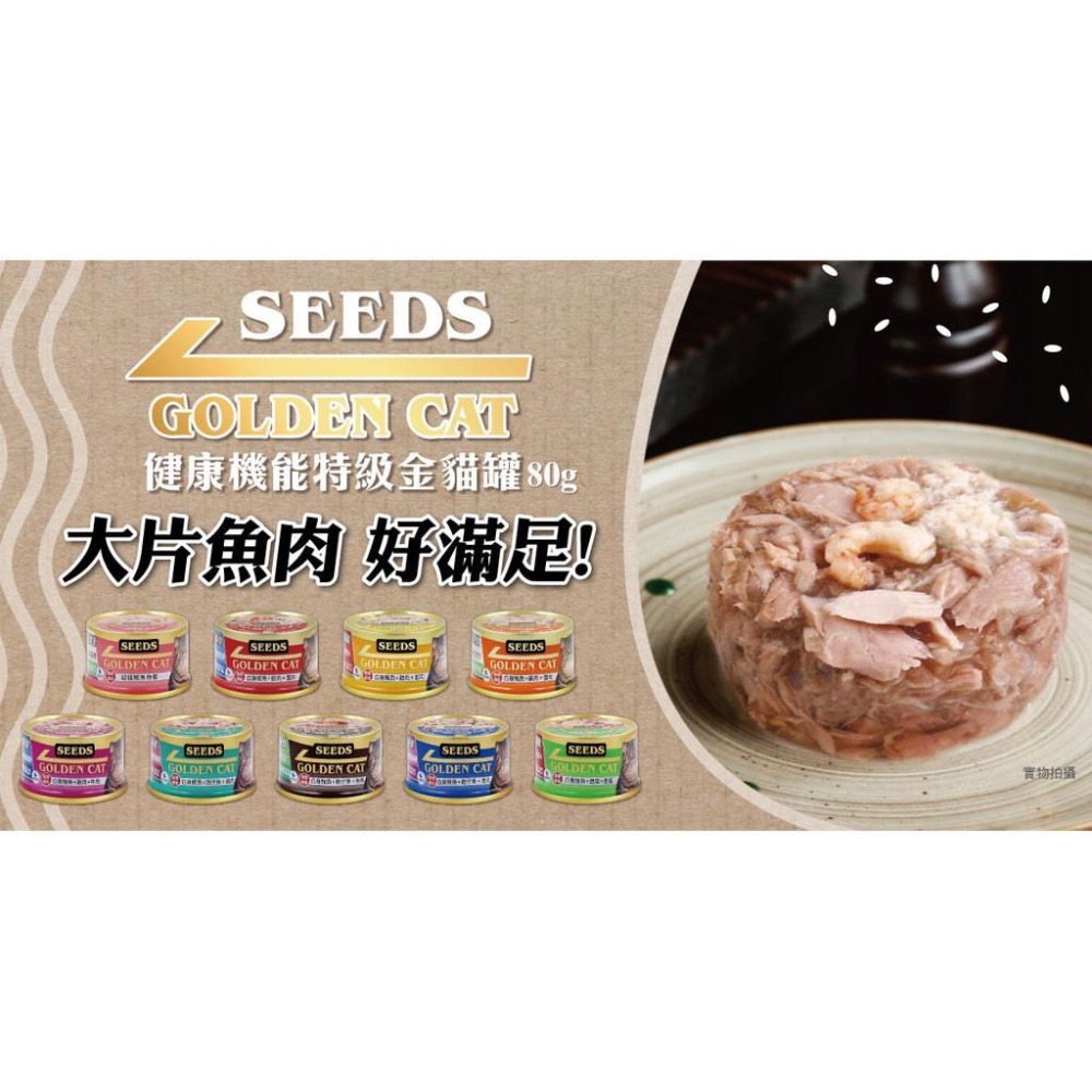 SEEDS GOLDEN CAT 健康機能特級金貓罐 80G 170G 副食罐 貓罐頭 全齡貓-細節圖2
