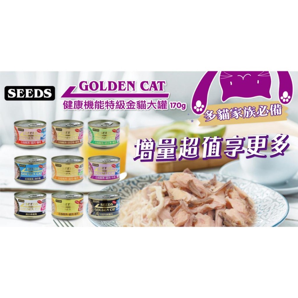 SEEDS GOLDEN CAT 健康機能特級金貓罐 80G 170G 副食罐 貓罐頭 全齡貓-細節圖4