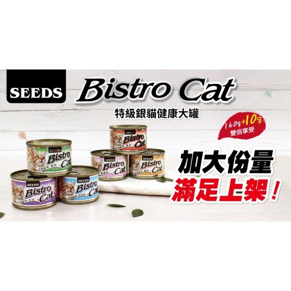 SEEDS Bistro Cat 特級銀貓健康餐罐 80g 170g 特級銀罐 副食罐 貓罐頭-細節圖3