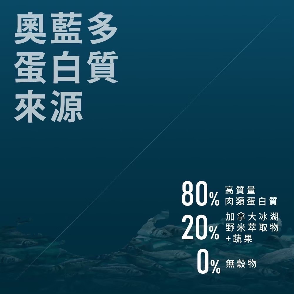【免運】【全新效期】Allando 奧藍多 奧蘭多 天然無穀全齡貓糧 貓飼料 寵物食品 寵物飼料 全齡貓-細節圖5