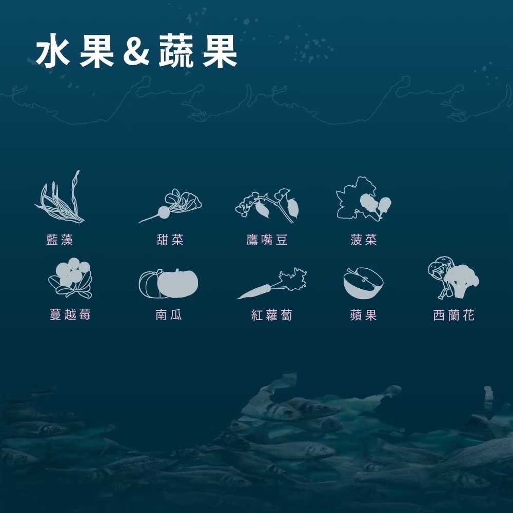 【免運】【全新效期】Allando 奧藍多 奧蘭多 天然無穀全齡貓糧 貓飼料 寵物食品 寵物飼料 全齡貓-細節圖6