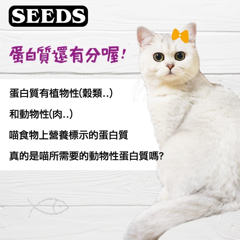 SEEDS HAVE FISH 有魚貓餐罐 170G 貓罐頭 副食罐 全齡貓 寵物食品 寵物罐頭-細節圖2