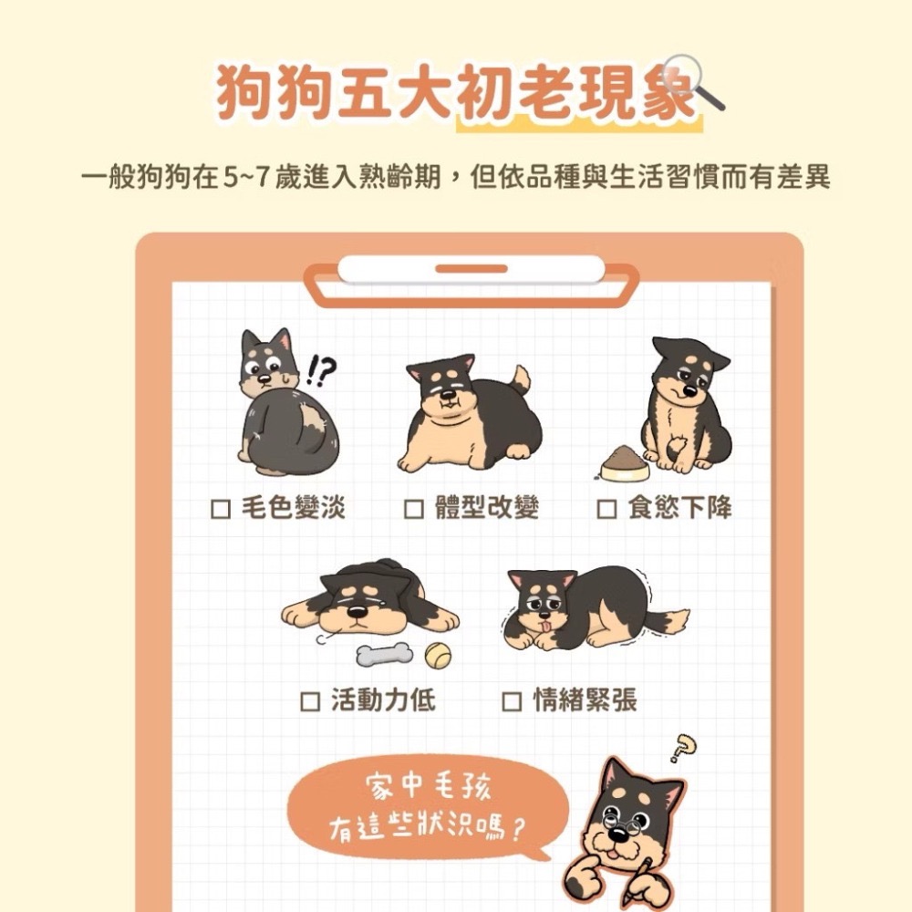 全新效期 銀養罐 熟齡犬95%低鈉無膠銀養主食罐 主食罐 全齡犬 老狗罐 高齡犬-細節圖3
