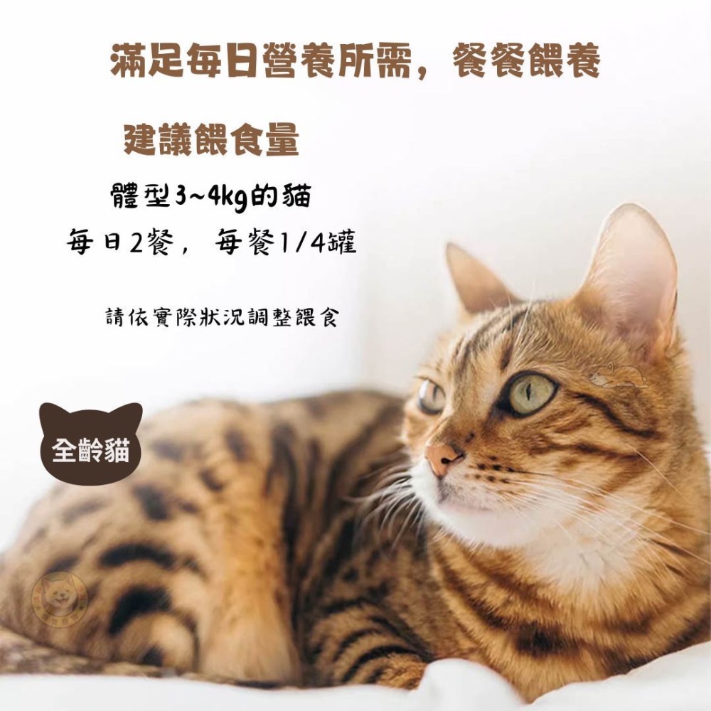 喵BAR 全能貓餐罐 170G 紅肉罐 化毛罐 牛磺酸 貓罐頭 全齡貓 寵物食品 寵物罐頭-細節圖4