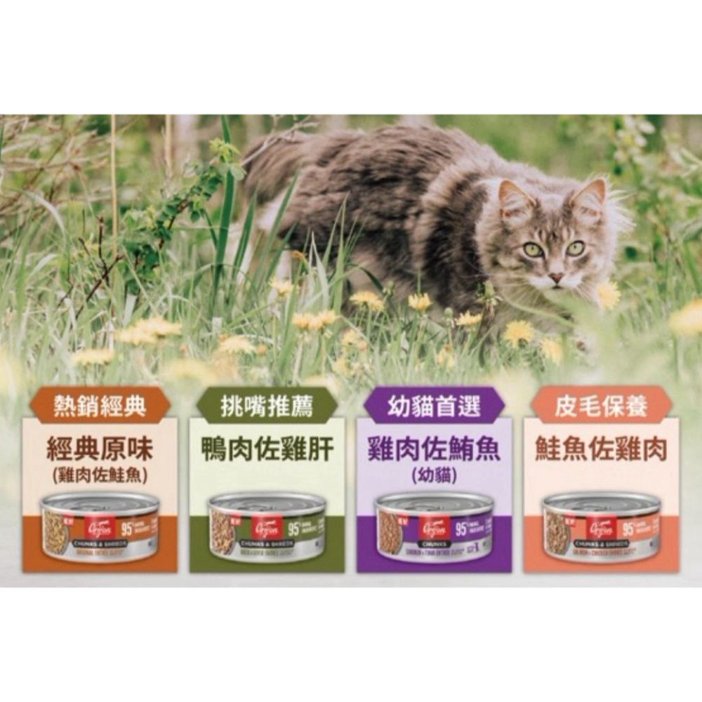 ORIJEN 歐睿健無榖主食罐 貓罐頭 主食罐 寵物食品 寵物罐頭 全齡貓-細節圖7