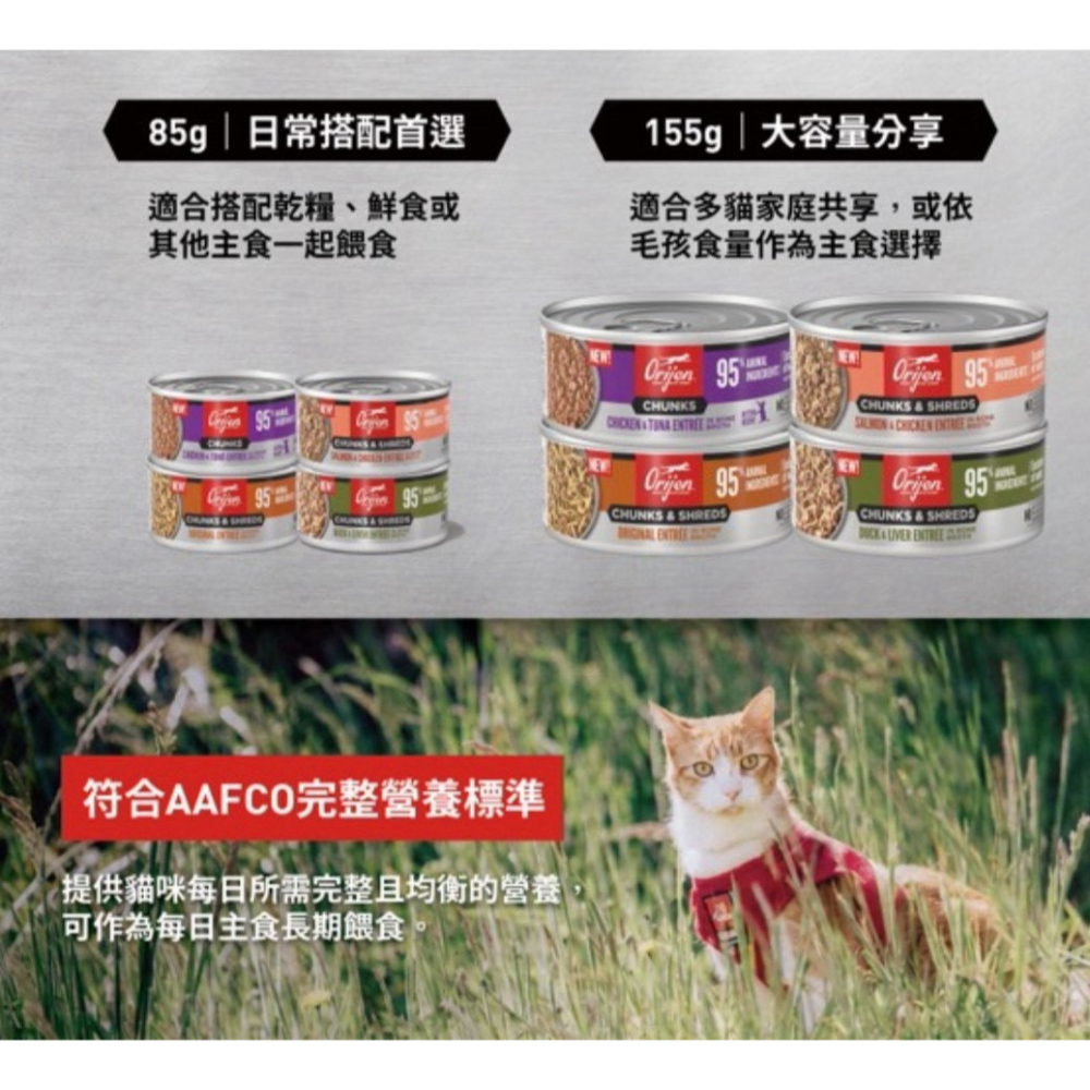 ORIJEN 歐睿健無榖主食罐 貓罐頭 主食罐 寵物食品 寵物罐頭 全齡貓-細節圖10