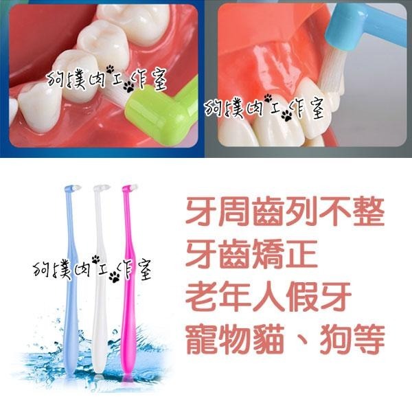 【狗撲肉】5入組 單束毛牙刷 單束牙刷 錐狀刷頭 尖頭 平頭 牙齒矯正 牙間刷 牙周病 假牙 寵物 矯正牙刷 小頭刷毛-細節圖4