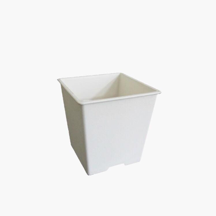 MIT 台灣製居家園藝4吋迷你小方盆/適用於多肉/仙人掌-細節圖2