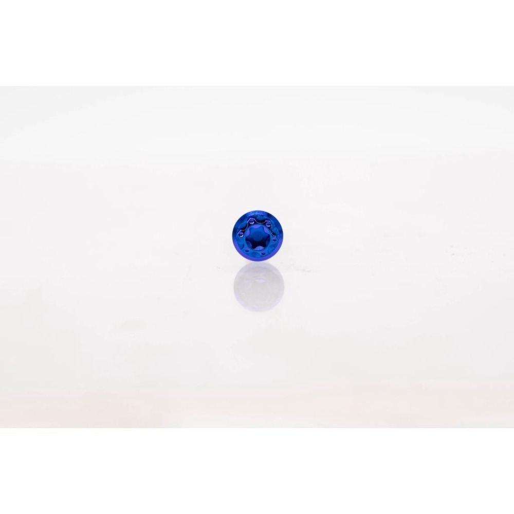 正64鈦合金插銷，對四、螃蟹可用，BREMBO-細節圖6