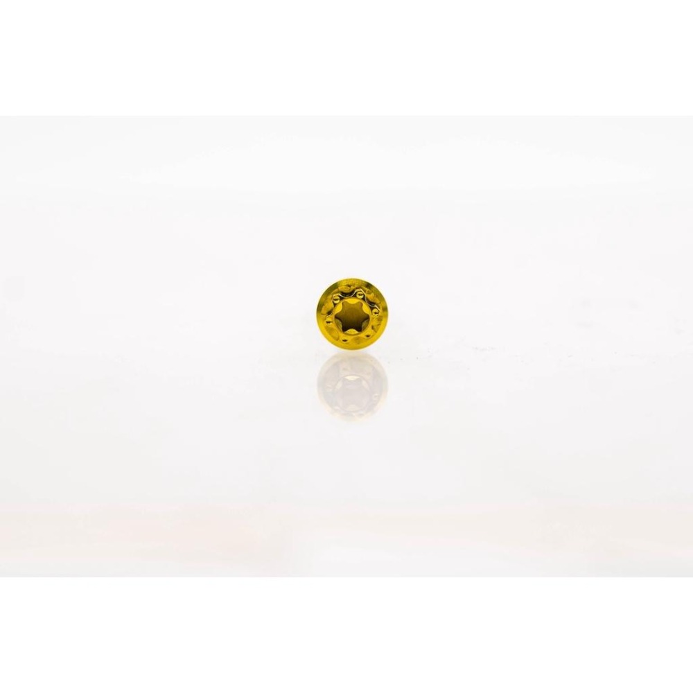 正64鈦合金插銷，對四、螃蟹可用，BREMBO-細節圖8