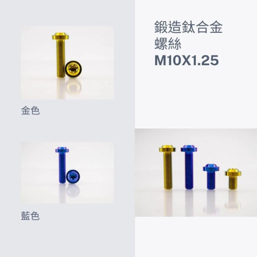鈦合金螺絲，M10 X 1.25 /1.5 飛碟頭、平頭 ，鍛造鈦合金螺絲，64鈦合金螺絲，鈦螺絲