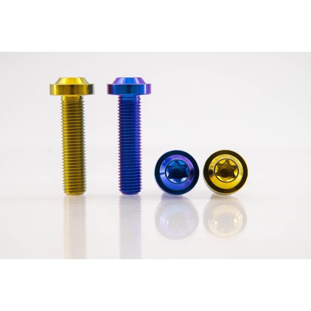 鈦合金螺絲，M10 X 1.25 /1.5 飛碟頭、平頭 ，鍛造鈦合金螺絲，64鈦合金螺絲，鈦螺絲-細節圖2