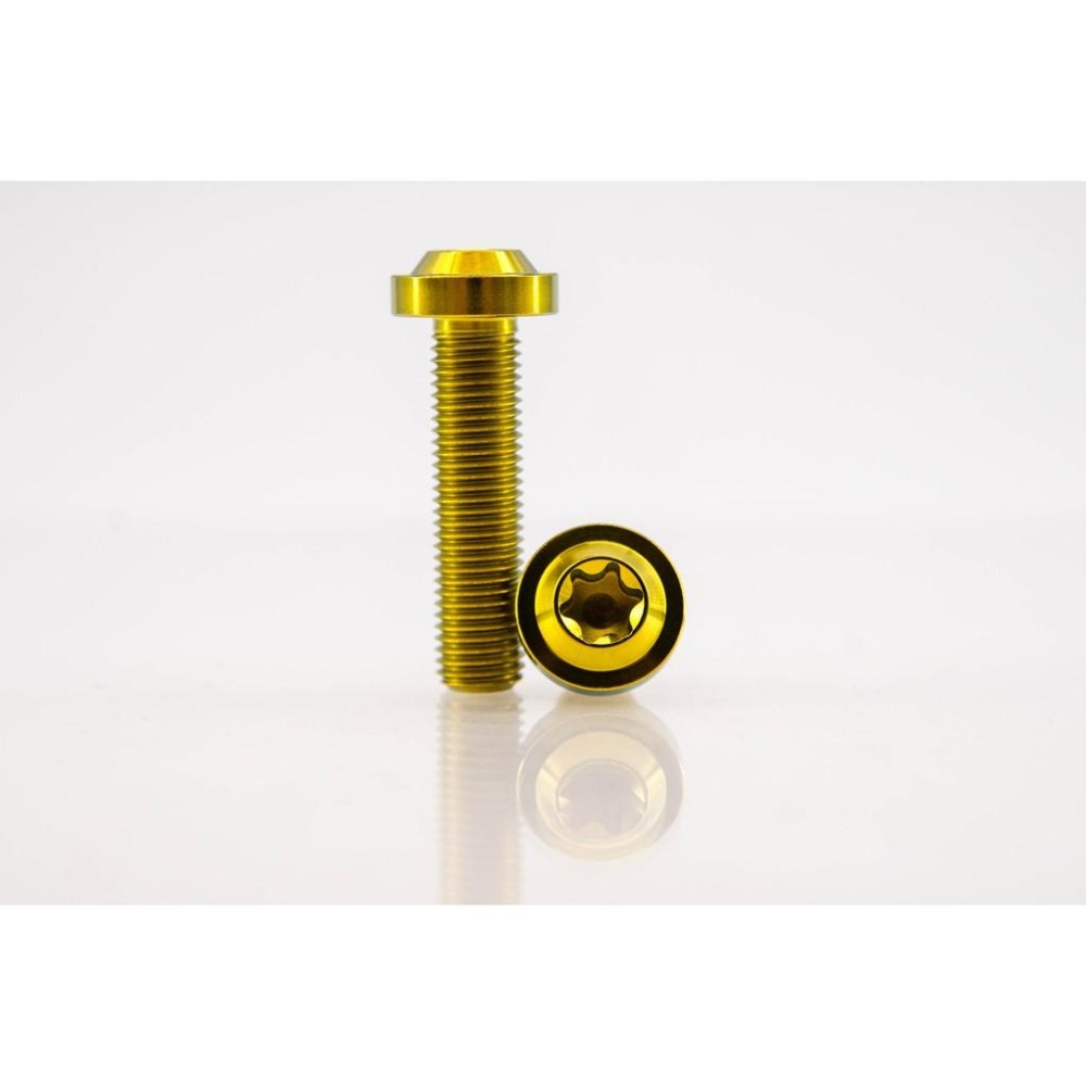 鈦合金螺絲，M10 X 1.25 /1.5 飛碟頭、平頭 ，鍛造鈦合金螺絲，64鈦合金螺絲，鈦螺絲-細節圖4