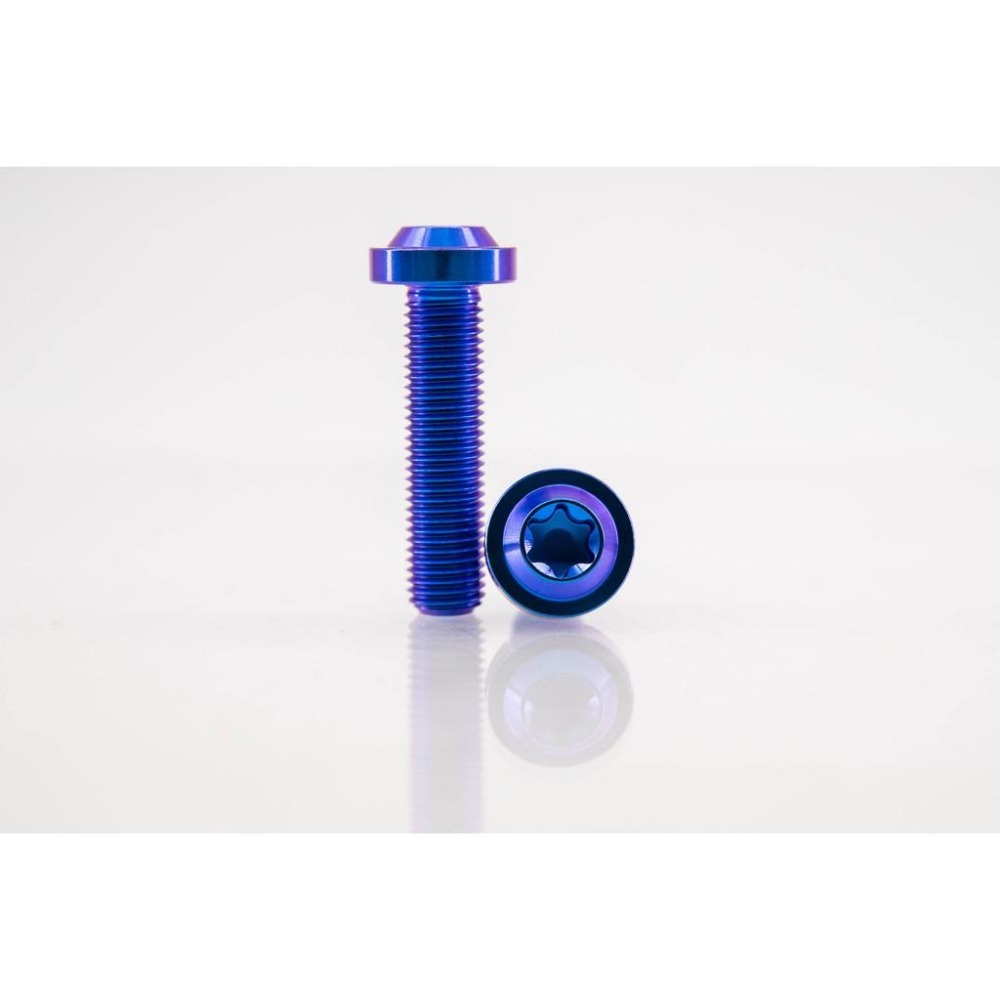 鈦合金螺絲，M10 X 1.25 /1.5 飛碟頭、平頭 ，鍛造鈦合金螺絲，64鈦合金螺絲，鈦螺絲-細節圖5