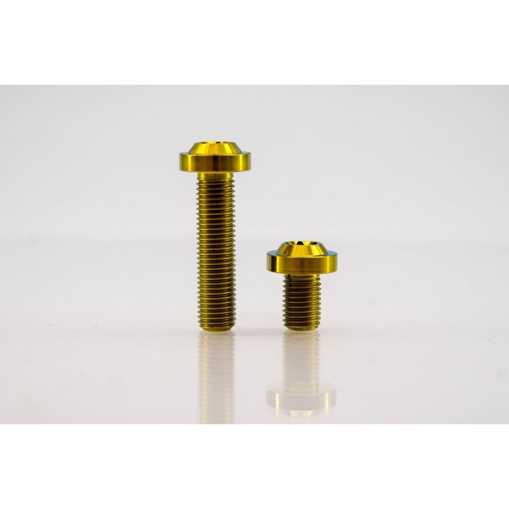 鈦合金螺絲，M10 X 1.25 /1.5 飛碟頭、平頭 ，鍛造鈦合金螺絲，64鈦合金螺絲，鈦螺絲-細節圖6