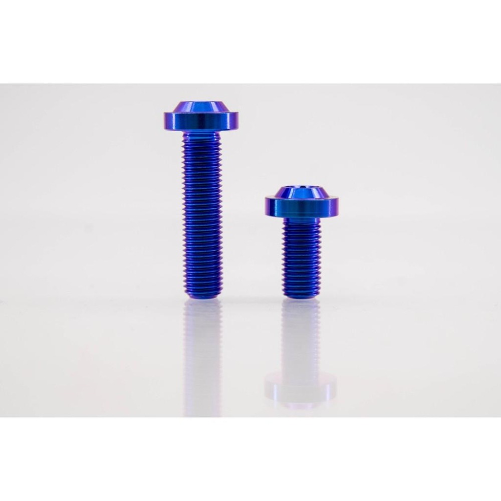 鈦合金螺絲，M10 X 1.25 /1.5 飛碟頭、平頭 ，鍛造鈦合金螺絲，64鈦合金螺絲，鈦螺絲-細節圖8