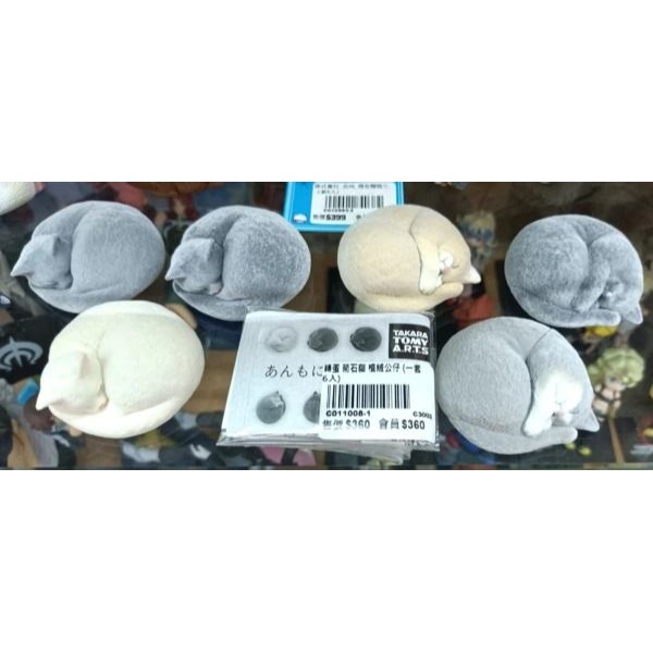 【台灣現貨】轉蛋 日版 TAKARA 菊石貓 植絨公仔 單售「黒ハチワレ」 附蛋紙 蛋殻-細節圖5