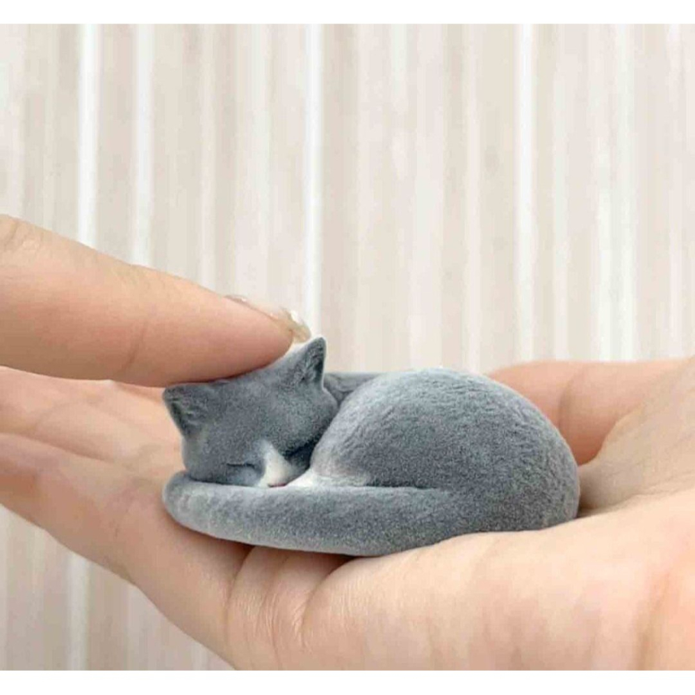 【台灣現貨】轉蛋 日版 TAKARA 菊石貓 植絨公仔 單售「黒ハチワレ」 附蛋紙 蛋殻-細節圖6