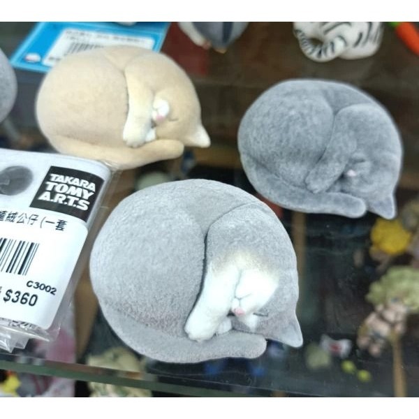 【台灣現貨】轉蛋 日版 TAKARA 菊石貓 植絨公仔 單售「グレーハチワレ」 附蛋紙 蛋殻-細節圖5