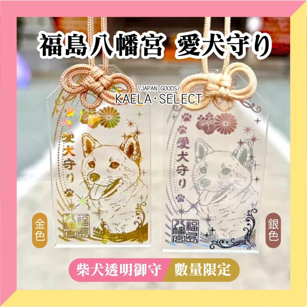KAELA日貨 日本 福島八幡宮 愛犬 愛貓 透明御守 柴犬 臘腸 玩具貴賓 吉娃娃 鬥牛 寵物御守-細節圖5