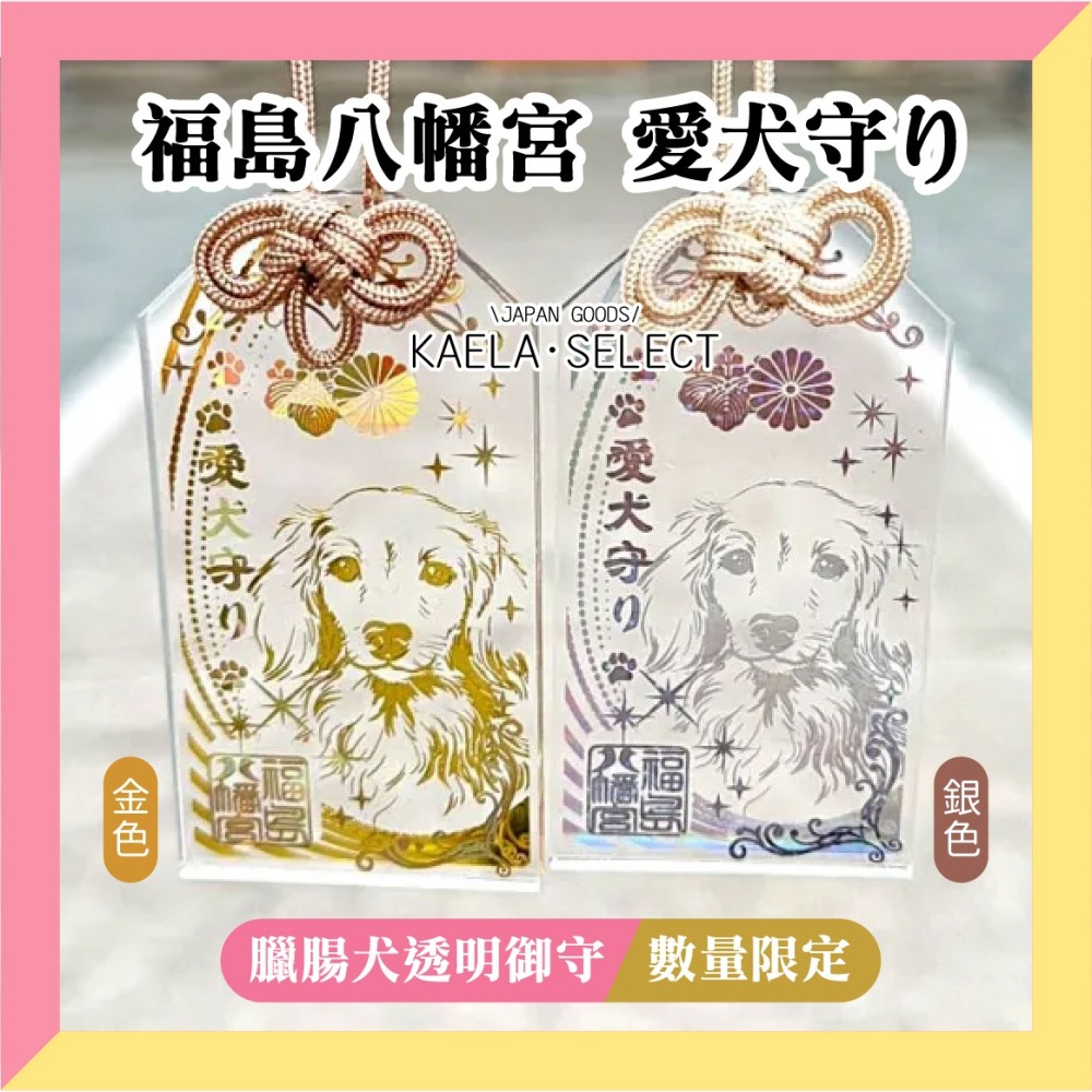 KAELA日貨 日本 福島八幡宮 愛犬 愛貓 透明御守 柴犬 臘腸 玩具貴賓 吉娃娃 鬥牛 寵物御守-細節圖6