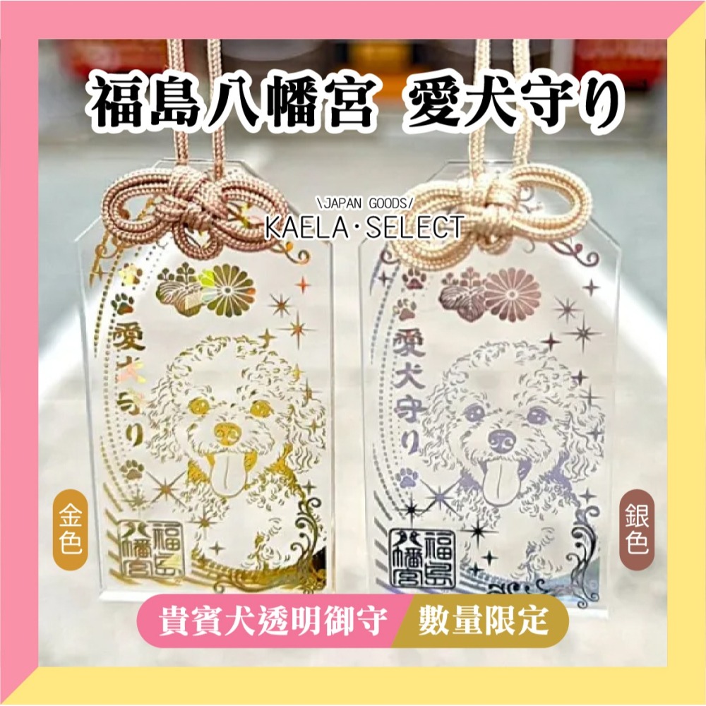 KAELA日貨 日本 福島八幡宮 愛犬 愛貓 透明御守 柴犬 臘腸 玩具貴賓 吉娃娃 鬥牛 寵物御守-細節圖9