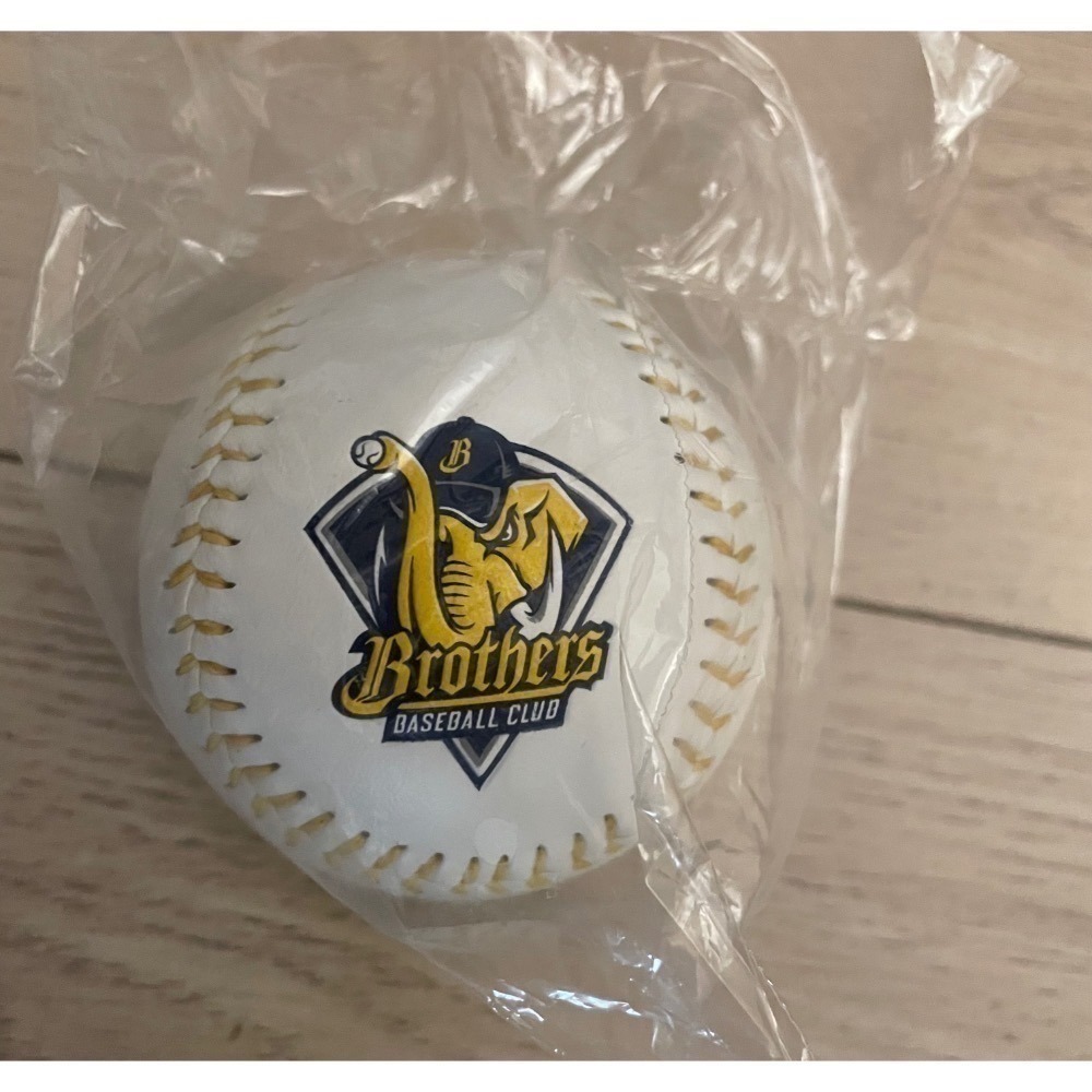 中華職棒 中信兄弟 兄弟🐘 隊徽球 簽名 簽名球 棒球 ⚾️-細節圖5