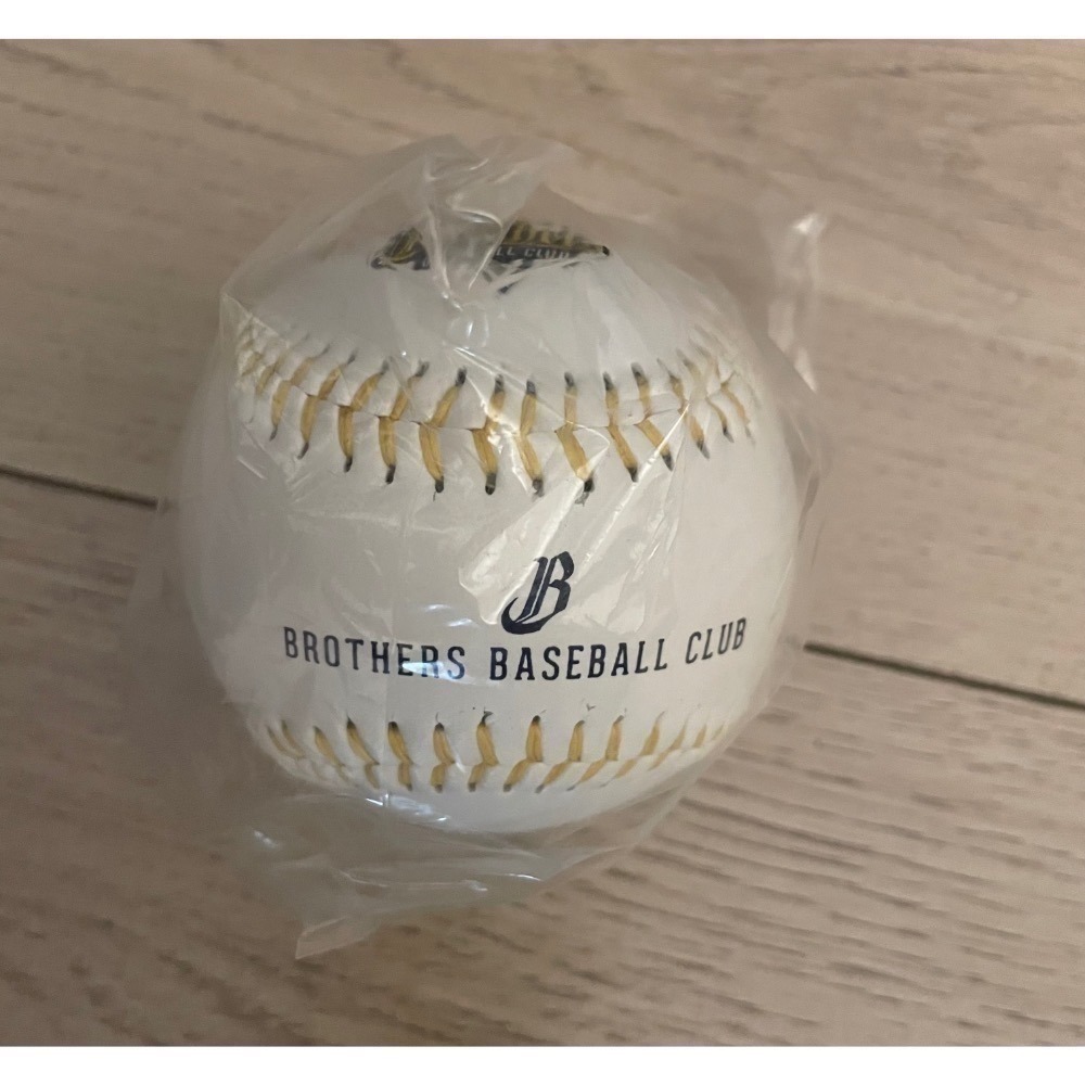 中華職棒 中信兄弟 兄弟🐘 隊徽球 簽名 簽名球 棒球 ⚾️-細節圖6