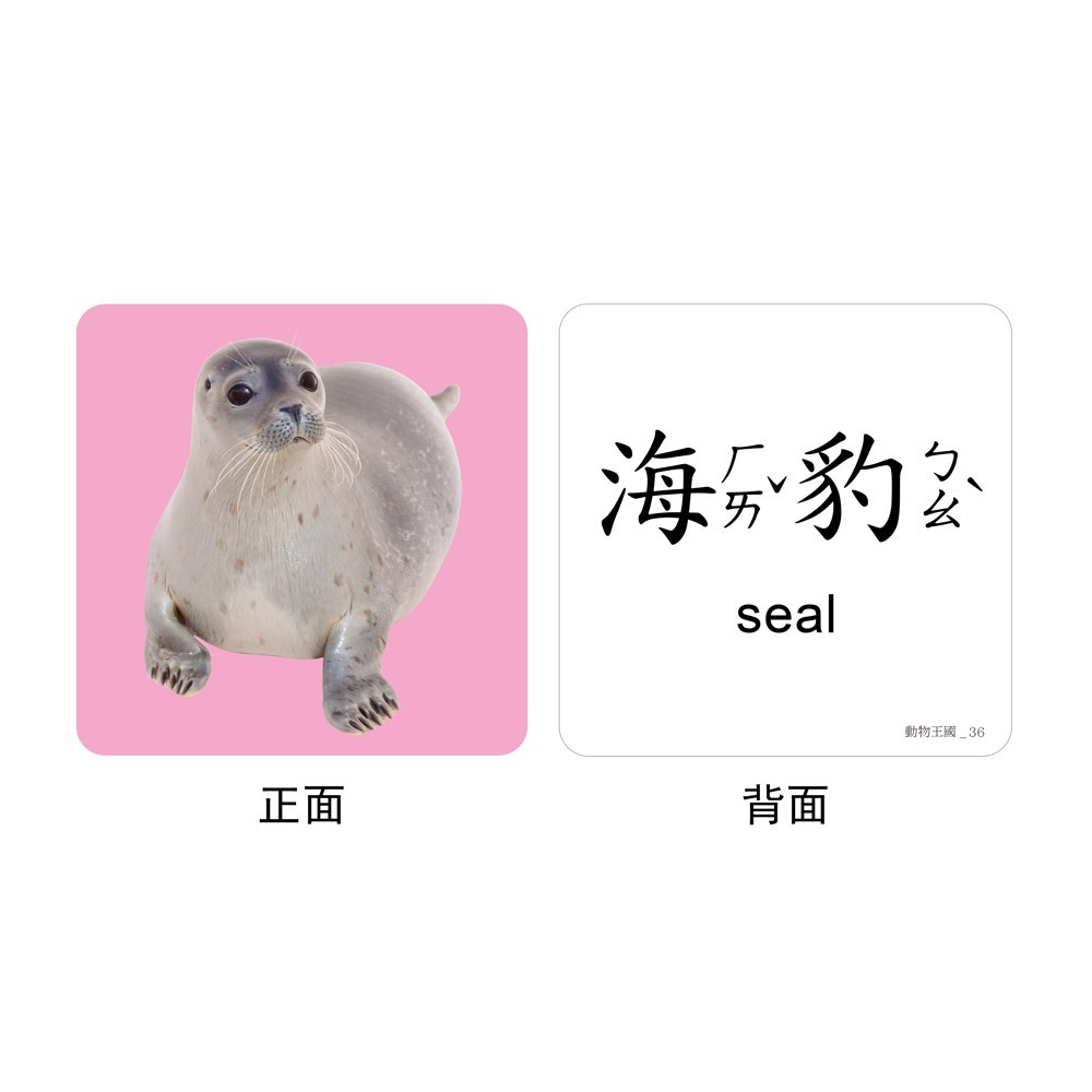 FOOD超人聰明認知大圖卡-動物王國*新版-細節圖3