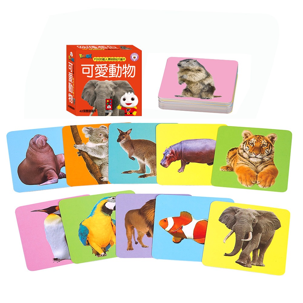 FOOD超人聰明認知大圖卡-可愛動物*新版-細節圖2
