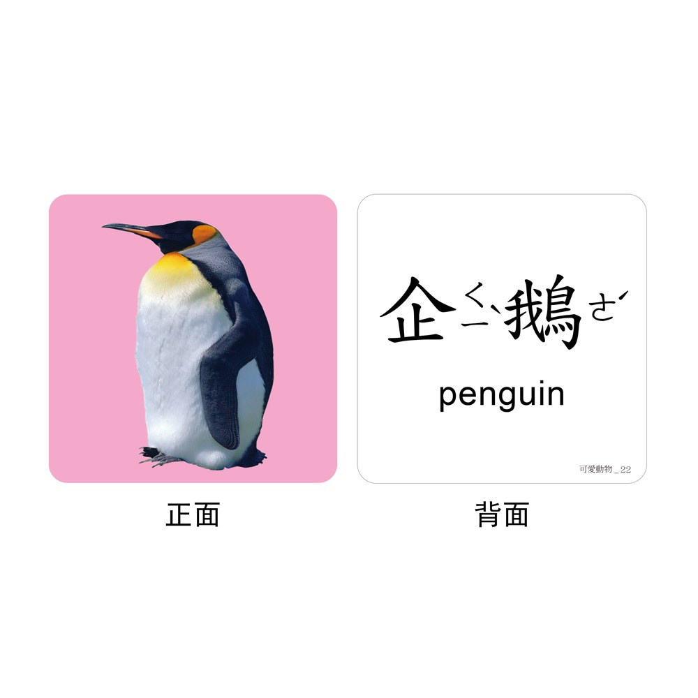 FOOD超人聰明認知大圖卡-可愛動物*新版-細節圖3