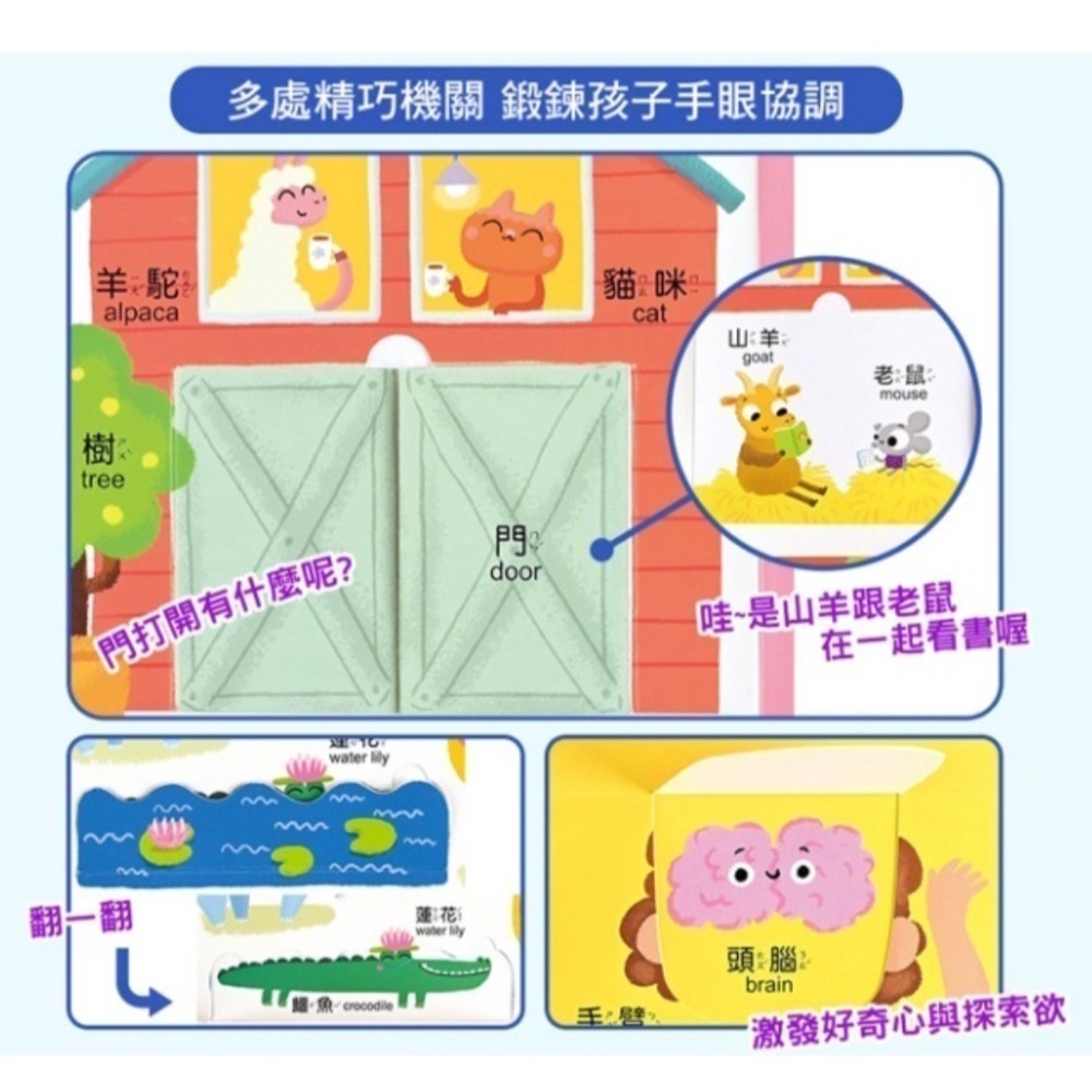 我的第一本100單字認知書(全套四冊)　有趣觸覺翻翻書-細節圖7