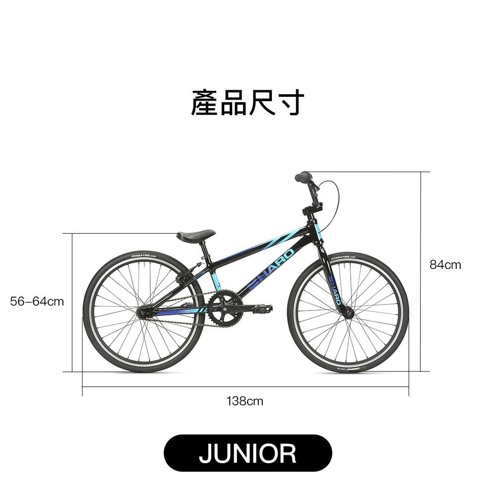 【彈藥庫】HARO BMX RACE LITE （JUNIOR/MINI） 20吋 黑Black-細節圖4