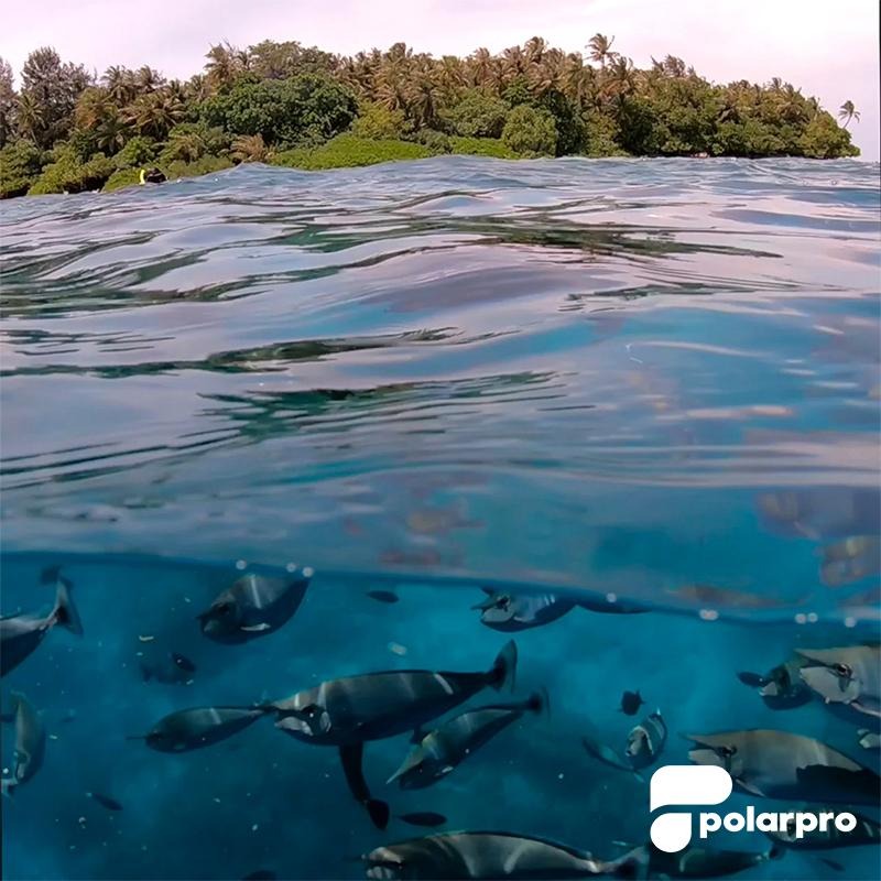 【彈藥庫】PolarPro 50-50Dome GoPro HERO 11/10/9 C966分水鏡#H9-FF-細節圖7